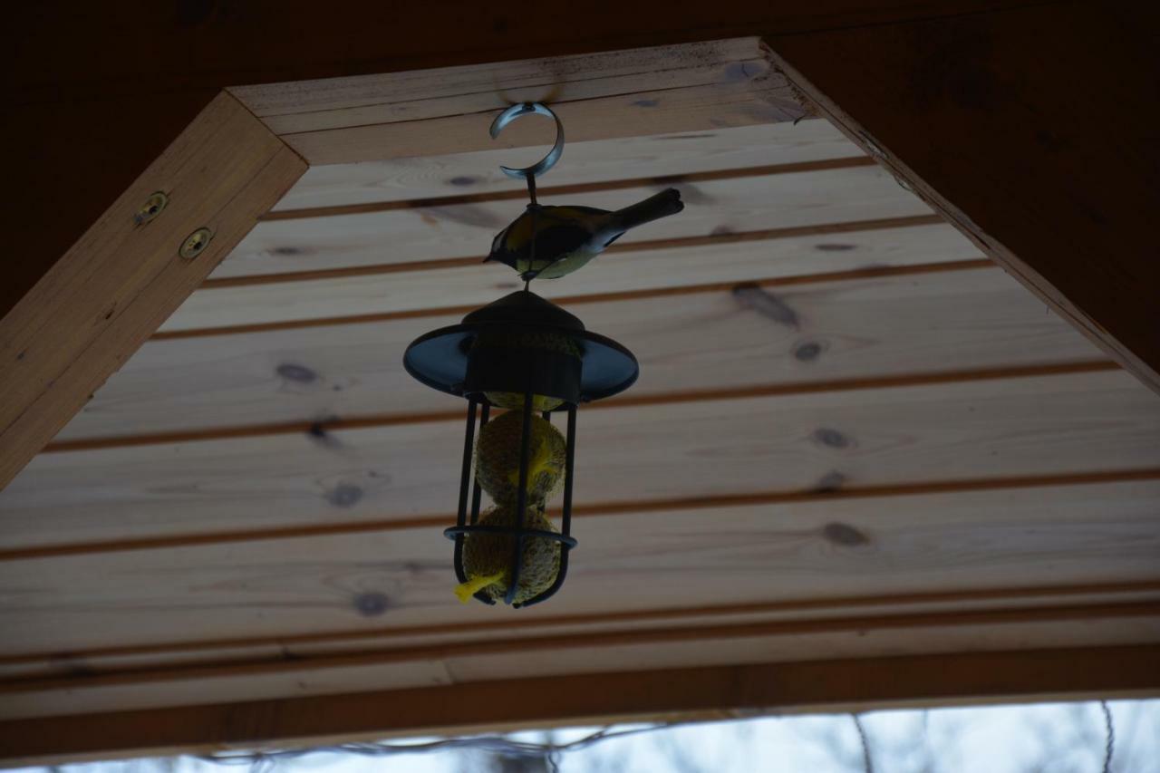 Сasa de vacaciones Pod Zielonym Dachem
