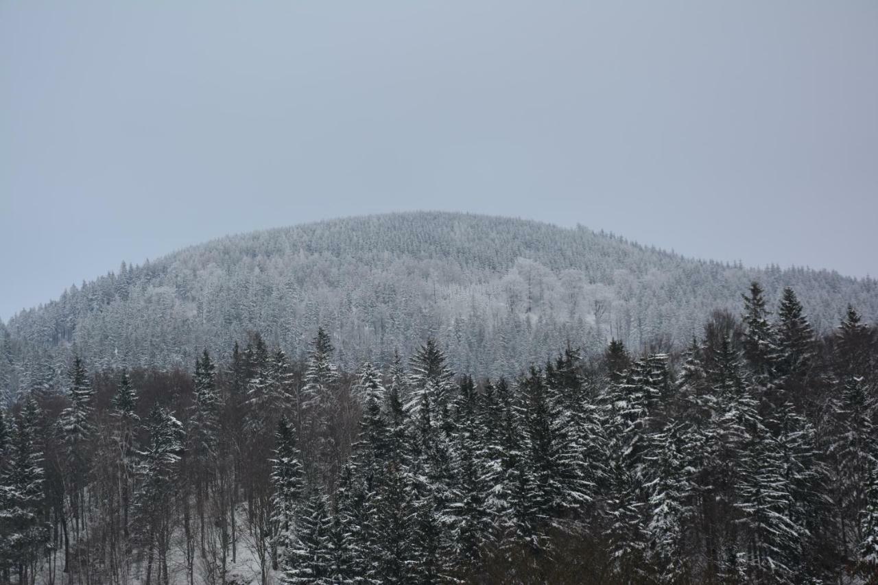 Pod Zielonym Dachem * Kamienna Gora